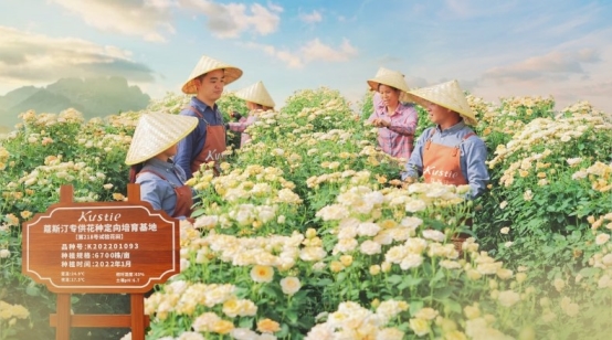 汀花瓣沐浴露连续三年全球销量第一开元棋牌网站市场地位证明：蔻斯(图4)