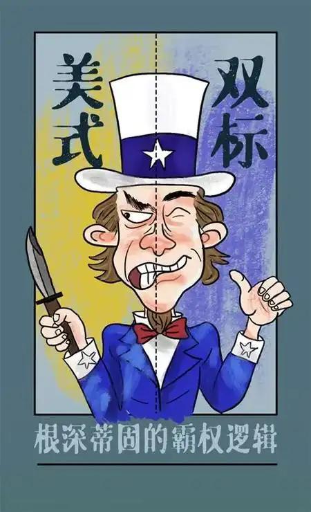 片公司147亿西方又现“双标”执法开元棋牌芯片战升级！荷兰冻结中资芯(图11)